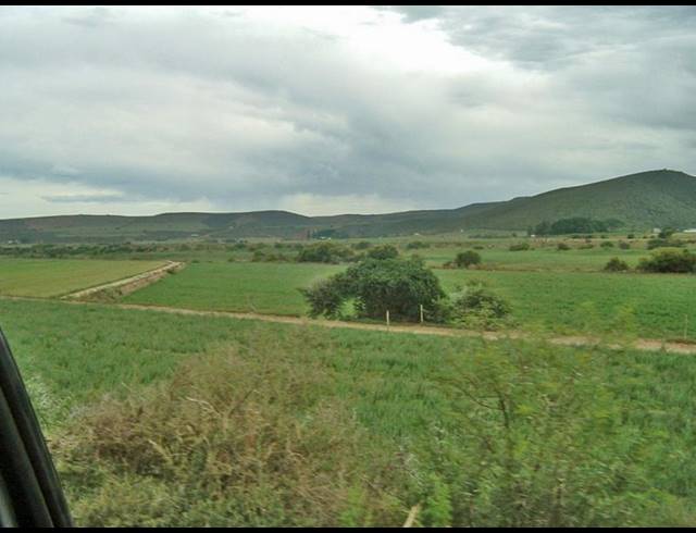 FARM FOR SALE IN MOSSEL BAY RURAL